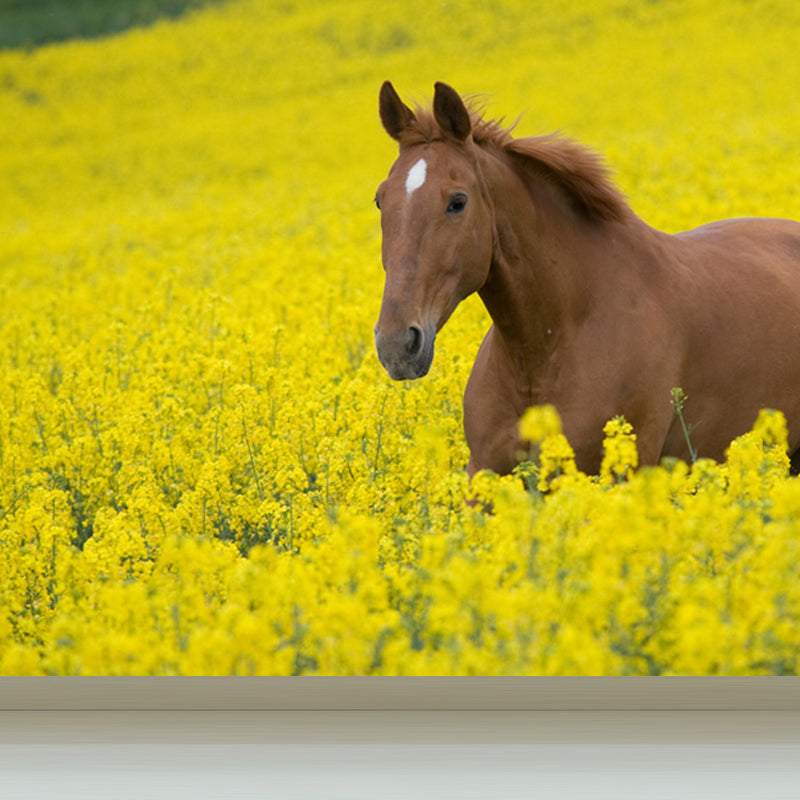 Horse Mural Decal Modern Decorative Boys Room Wall Covering, Custom Size Available Clearhalo 'Wall Decor' 'Wall Mural' 1637714