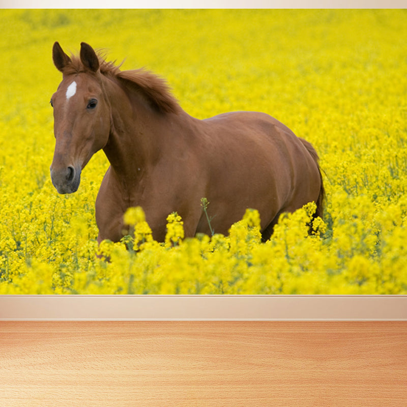 Horse Mural Decal Modern Decorative Boys Room Wall Covering, Custom Size Available Clearhalo 'Wall Decor' 'Wall Mural' 1637715