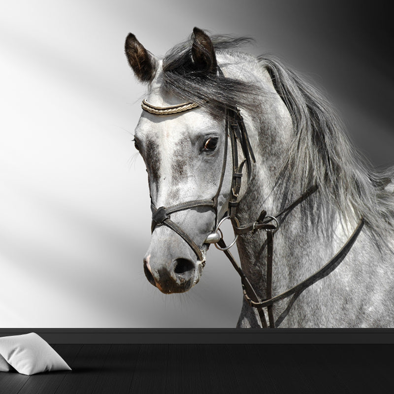 Horse Mural Decal Modern Decorative Boys Room Wall Covering, Custom Size Available Grey Clearhalo 'Wall Decor' 'Wall Mural' 1637728