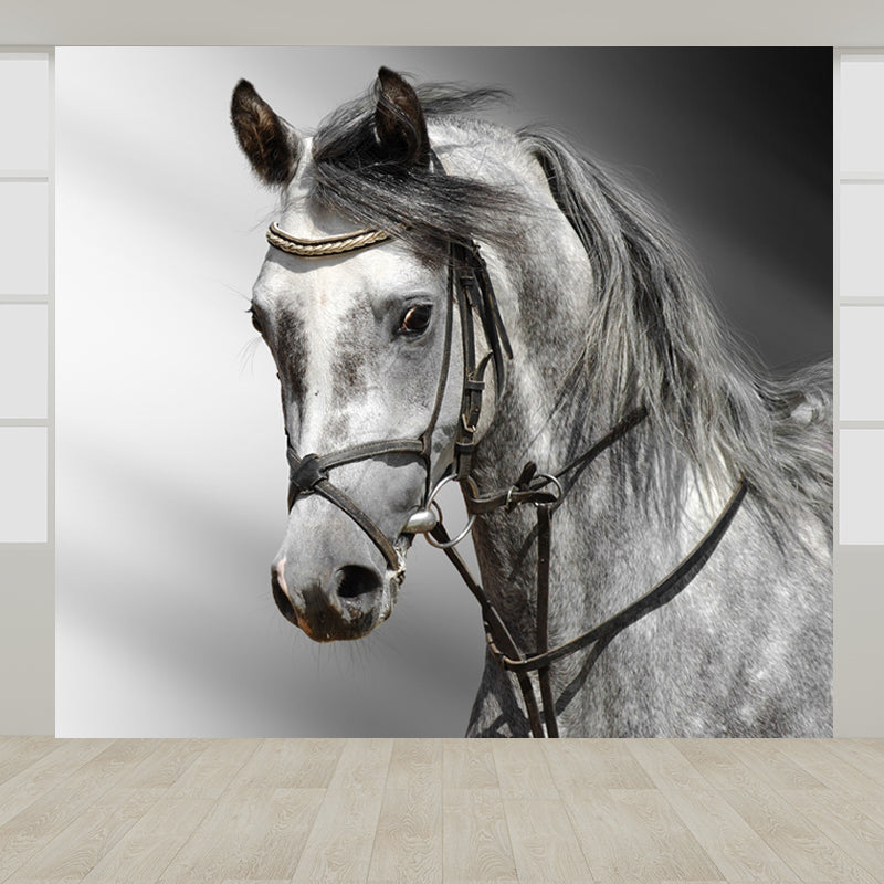 Horse Mural Decal Modern Decorative Boys Room Wall Covering, Custom Size Available Clearhalo 'Wall Decor' 'Wall Mural' 1637729