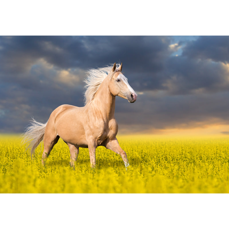 Handsome Horse Mural Wallpaper Soft Color Contemporary Wall Decor for Living Room Clearhalo 'Wall Decor' 'Wall Mural' 1637736