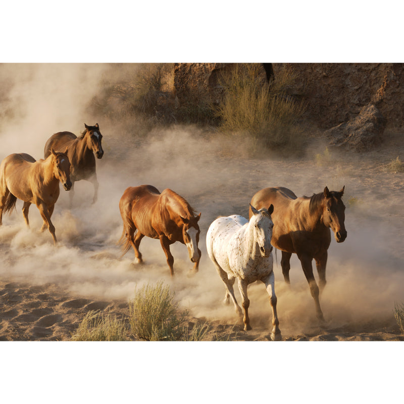 Handsome Horse Mural Wallpaper Soft Color Contemporary Wall Decor for Living Room Clearhalo 'Wall Decor' 'Wall Mural' 1637746