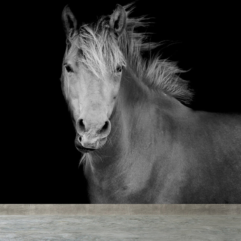 Handsome Horse Mural Wallpaper Soft Color Contemporary Wall Decor for Living Room Clearhalo 'Wall Decor' 'Wall Mural' 1637749