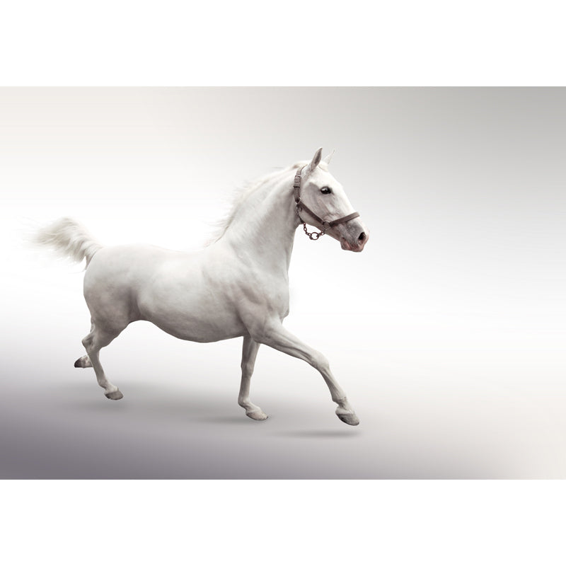 Contemporary Asian Horse Mural Wallpaper Light Color Nature Animals Wall Covering Clearhalo 'Wall Decor' 'Wall Mural' 1637771