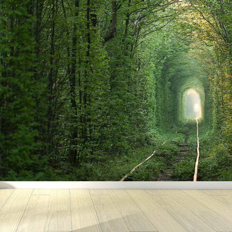 Photography Style 3D View Mural for Living Room, Dark Color, Custom Size Available Clearhalo 'Wall Decor' 'Wall Mural' 1637815