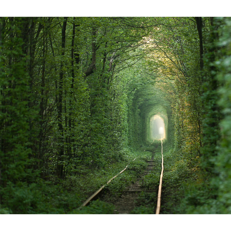 Photography Style 3D View Mural for Living Room, Dark Color, Custom Size Available Clearhalo 'Wall Decor' 'Wall Mural' 1637816