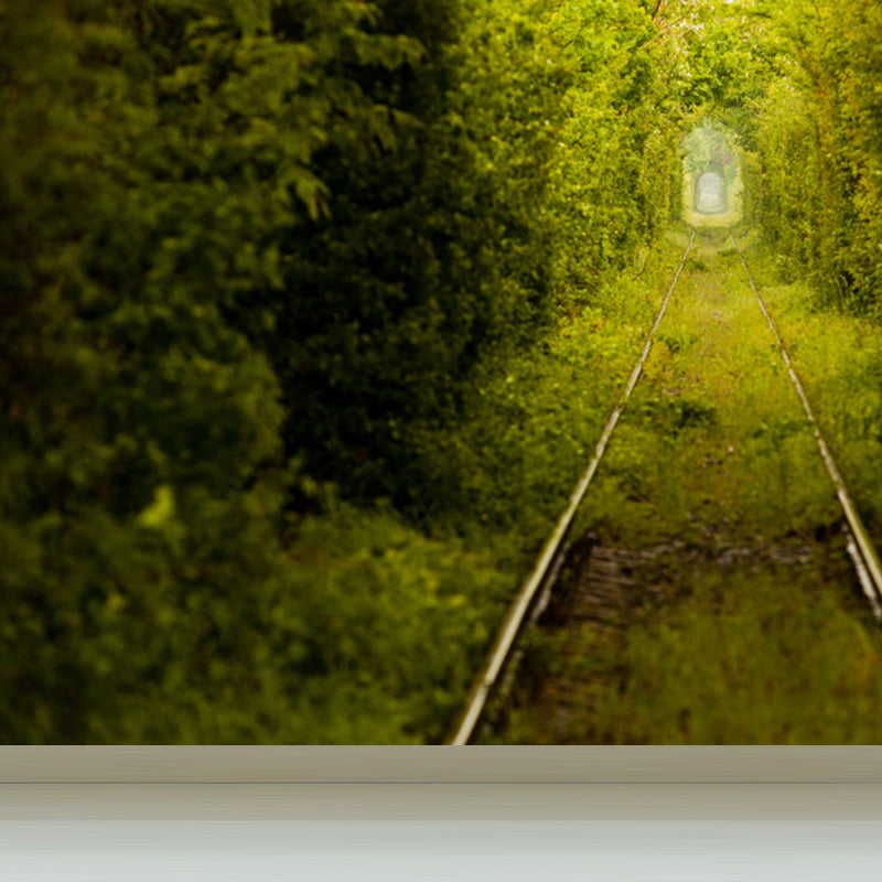 Photography Style 3D View Mural for Living Room, Dark Color, Custom Size Available Clearhalo 'Wall Decor' 'Wall Mural' 1637830