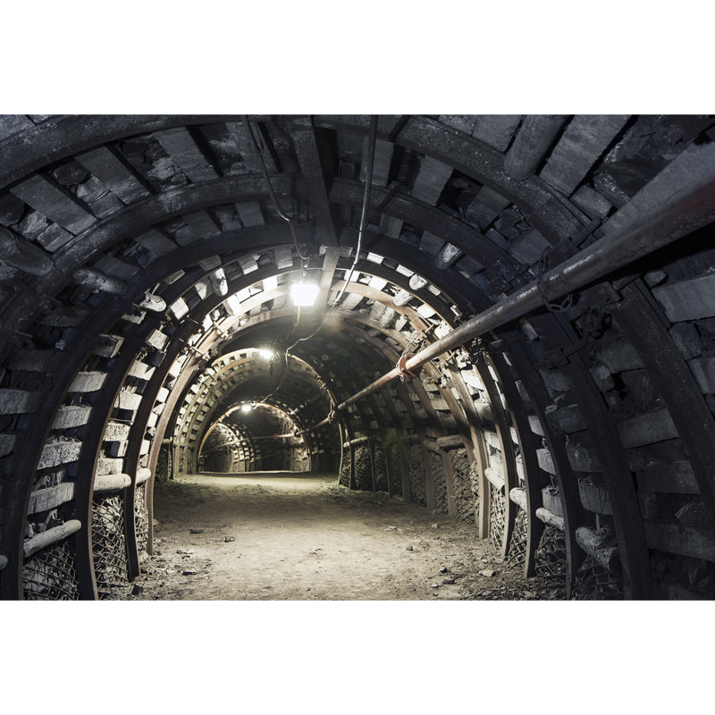 Full Size Photography Creative Mural Decal with Three-Dimensional Space in Dark Color Clearhalo 'Wall Decor' 'Wall Mural' 1637866