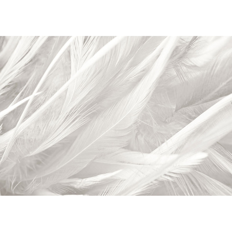 Stacked Bird Feather Mural Wallpaper Contemporary Non-Woven Texture Wall Covering Clearhalo 'Wall Decor' 'Wall Mural' 1638071