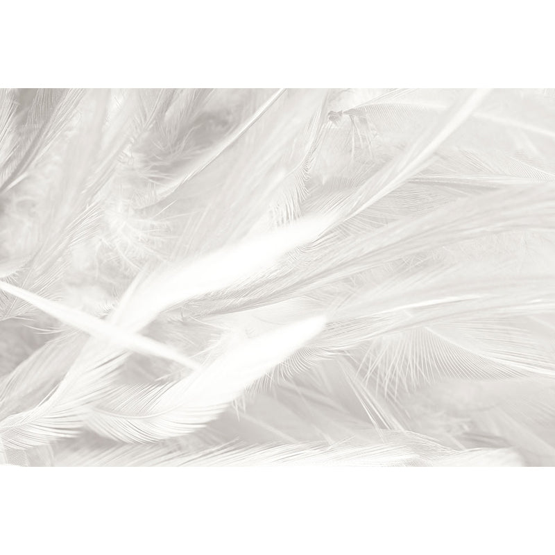 Stacked Bird Feather Mural Wallpaper Contemporary Non-Woven Texture Wall Covering Clearhalo 'Wall Decor' 'Wall Mural' 1638076