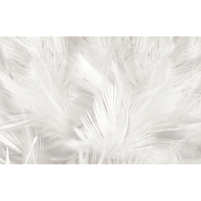 Stacked Bird Feather Mural Wallpaper Contemporary Non-Woven Texture Wall Covering Clearhalo 'Wall Decor' 'Wall Mural' 1638086