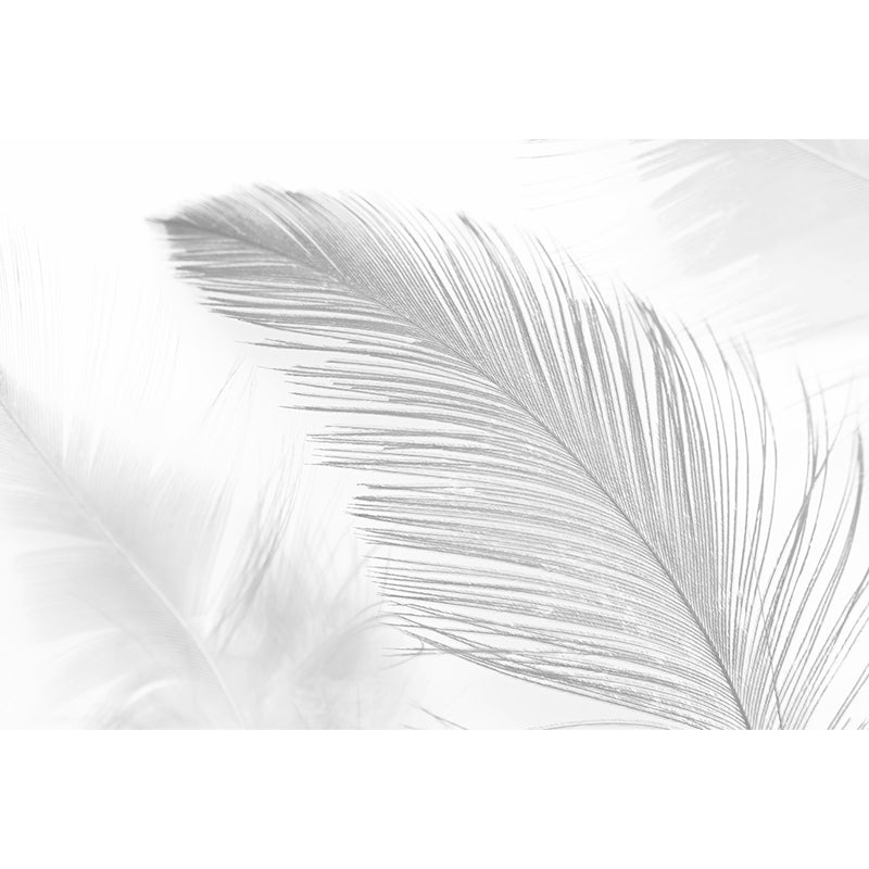 Bird Feather Mural Wallpaper Modern Decorative Kitchen Wall Art, Custom Size Available Clearhalo 'Wall Decor' 'Wall Mural' 1638096