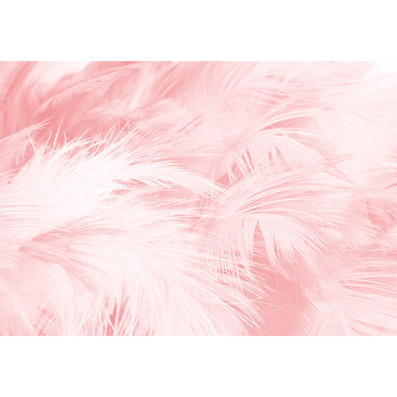 Full Size Illustration Modern Mural Wallpaper with Bird Feathers in Pastel Color Clearhalo 'Wall Decor' 'Wall Mural' 1638116
