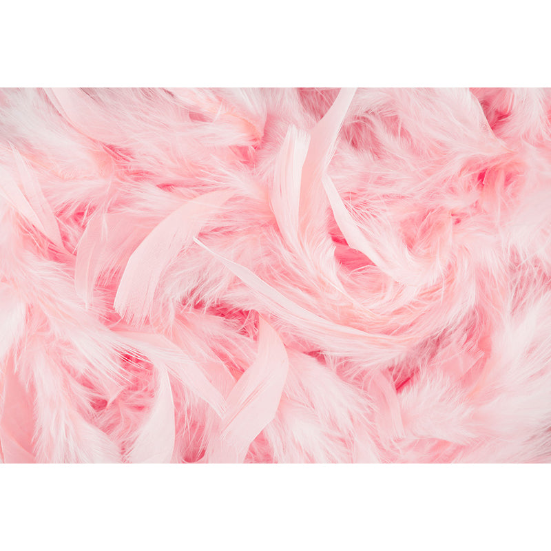 Full Size Illustration Modern Mural Wallpaper with Bird Feathers in Pastel Color Clearhalo 'Wall Decor' 'Wall Mural' 1638121