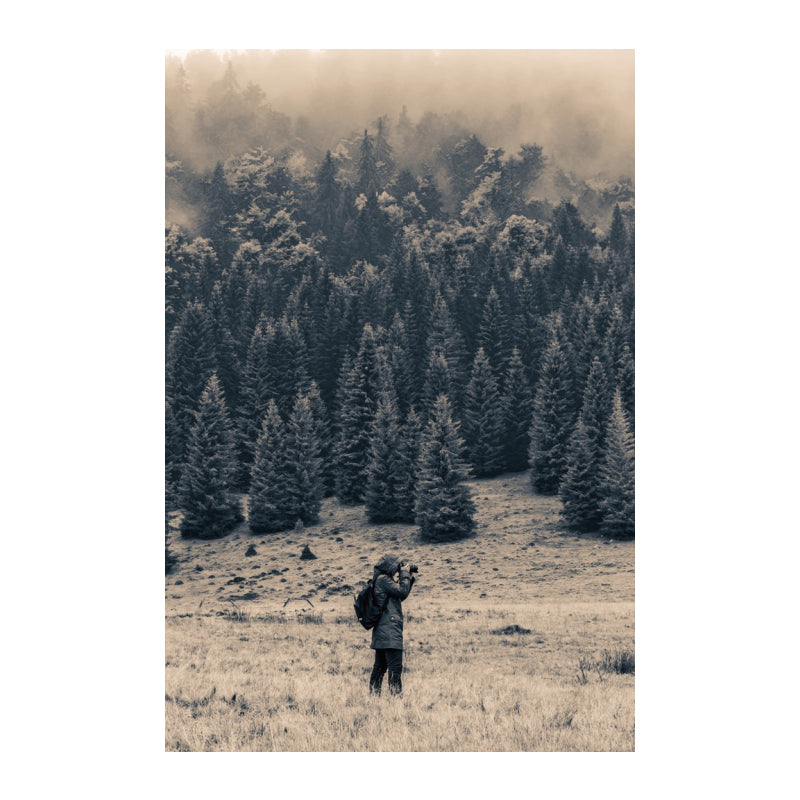 Meadow and Misty Forest Art Print Black Vintage Canvas for Dining Room, Textured Clearhalo 'Arts' 'Canvas Art' 1638530