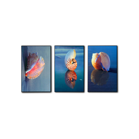 Photo Printed Sea Shell Canvas Wall Art for Living Room, Blue and Pink, Set of 3 Clearhalo 'Art Gallery' 'Canvas Art' 'Contemporary Art Gallery' 'Modern' Arts' 1639104
