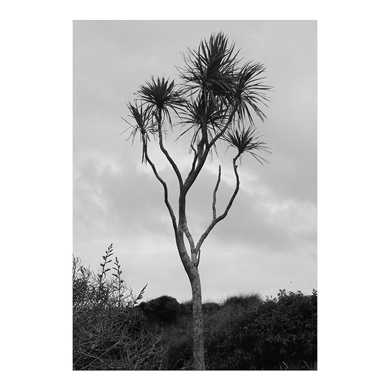 Palm Tree Wall Art Textured Surface Rustic Sitting Room Canvas Print in Grey Clearhalo 'Art Gallery' 'Canvas Art' 'Country Art Gallery' 'French Country' 'Rustic' Arts' 1641260