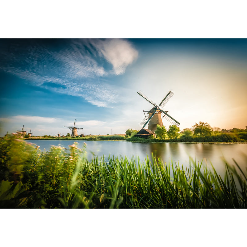 Full Size Photography Modern Mural Wallpaper with Windmill and Grassland in Green Clearhalo 'Wall Decor' 'Wall Mural' 1646223