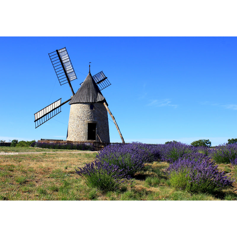 Full Size Photography Modern Mural Wallpaper with Windmill and Grassland in Green Clearhalo 'Wall Decor' 'Wall Mural' 1646233
