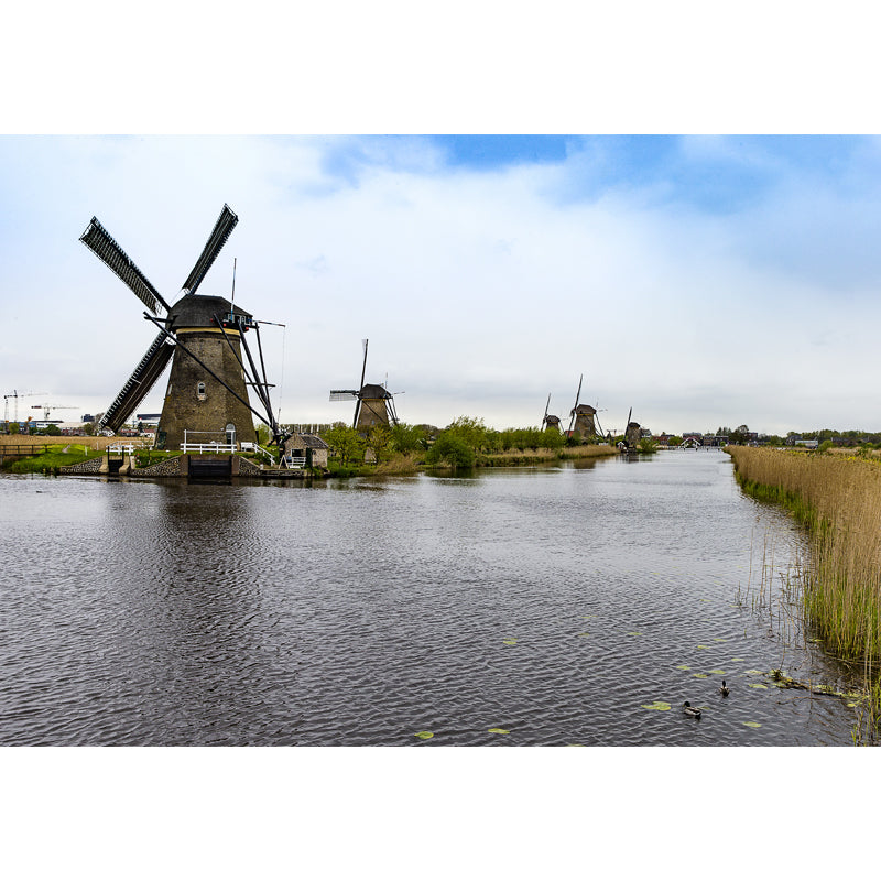 Full Size Photography Modern Mural Wallpaper with Spring Windmill Landscape in Blue Clearhalo 'Wall Decor' 'Wall Mural' 1646258