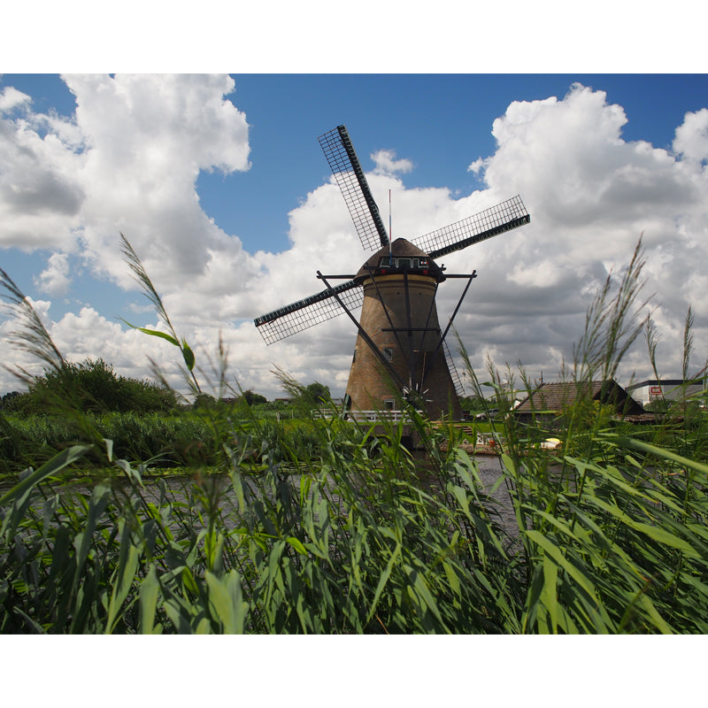 Full Size Photography Modern Mural Wallpaper with Spring Windmill Landscape in Blue Clearhalo 'Wall Decor' 'Wall Mural' 1646263