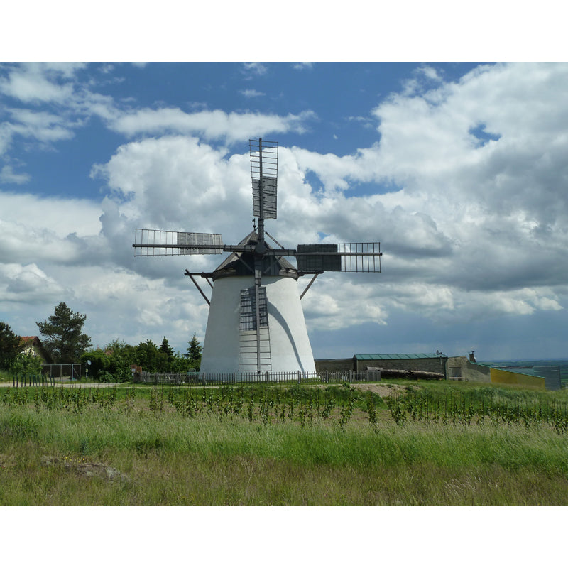 Full Size Photography Modern Mural Wallpaper with Spring Windmill Landscape in Blue Clearhalo 'Wall Decor' 'Wall Mural' 1646273