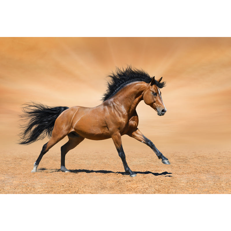 Running Horse Scenery Mural Decal for Girls Bedroom, Brown, Custom Size Available Clearhalo 'Wall Decor' 'Wall Mural' 1646393