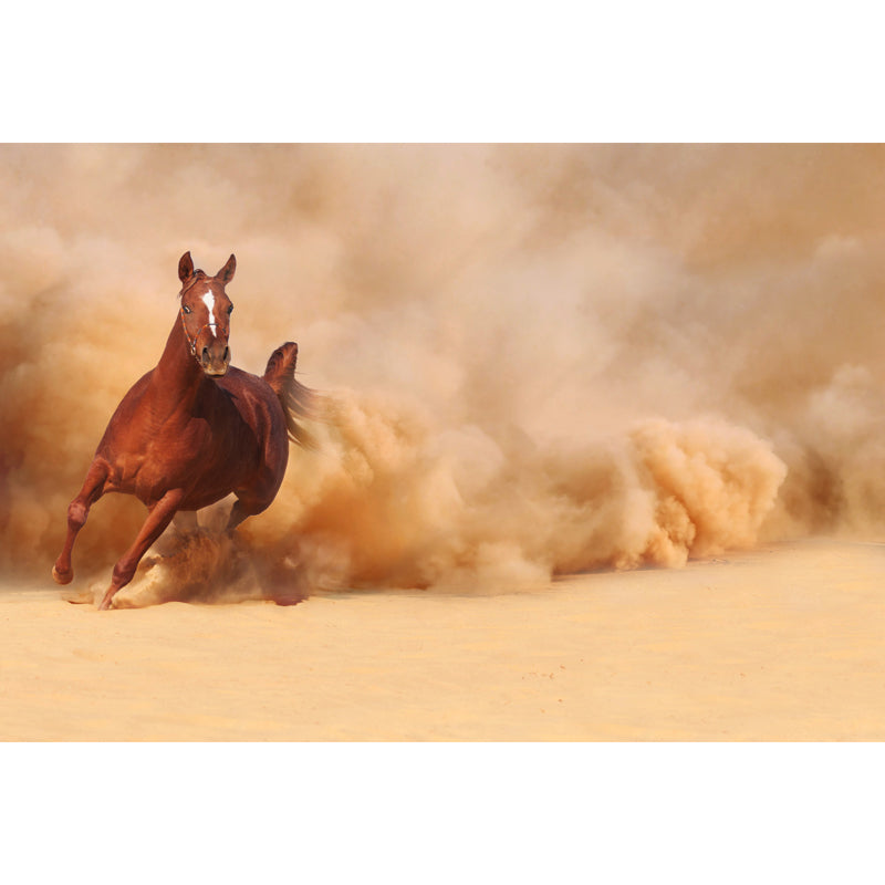 Running Horse Scenery Mural Decal for Girls Bedroom, Brown, Custom Size Available Clearhalo 'Wall Decor' 'Wall Mural' 1646398