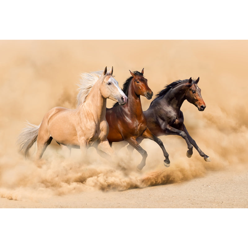 Running Horse Scenery Mural Decal for Girls Bedroom, Brown, Custom Size Available Clearhalo 'Wall Decor' 'Wall Mural' 1646403