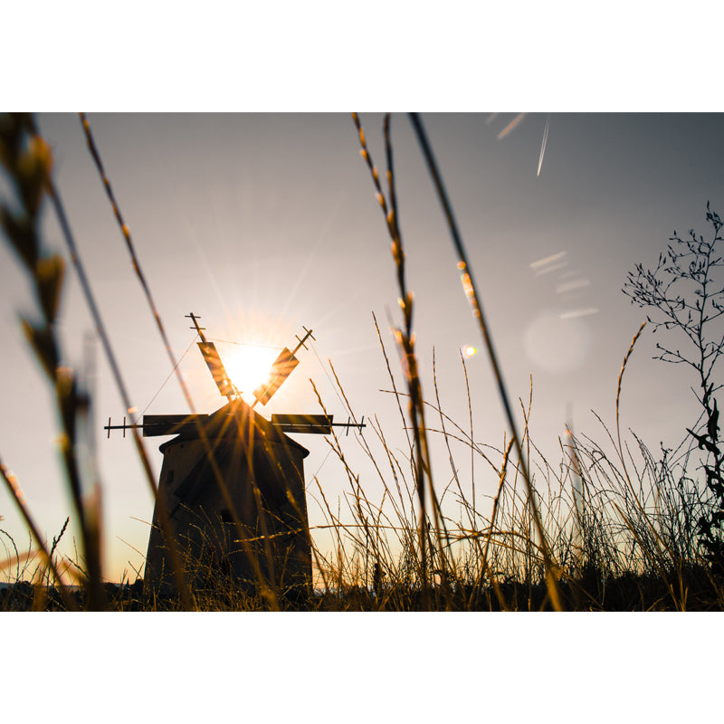 Extra Large Windmill Mural Brown Non-Woven Wall Art for Home Decor, Personalised Clearhalo 'Wall Decor' 'Wall Mural' 1646413