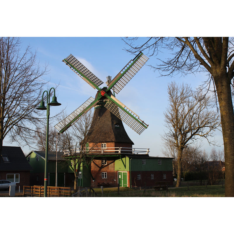 Extra Large Windmill Mural Brown Non-Woven Wall Art for Home Decor, Personalised Clearhalo 'Wall Decor' 'Wall Mural' 1646418