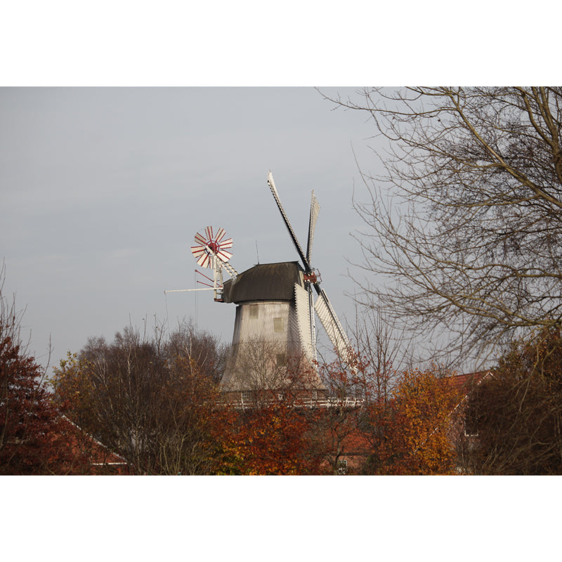 Extra Large Windmill Mural Brown Non-Woven Wall Art for Home Decor, Personalised Clearhalo 'Wall Decor' 'Wall Mural' 1646423