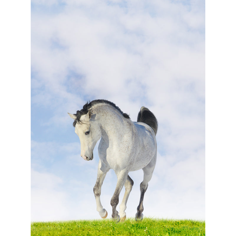 Extra Large Horse Mural Soft Color Non-Woven Wall Decor for Living Room, Personalised Clearhalo 'Wall Decor' 'Wall Mural' 1646443