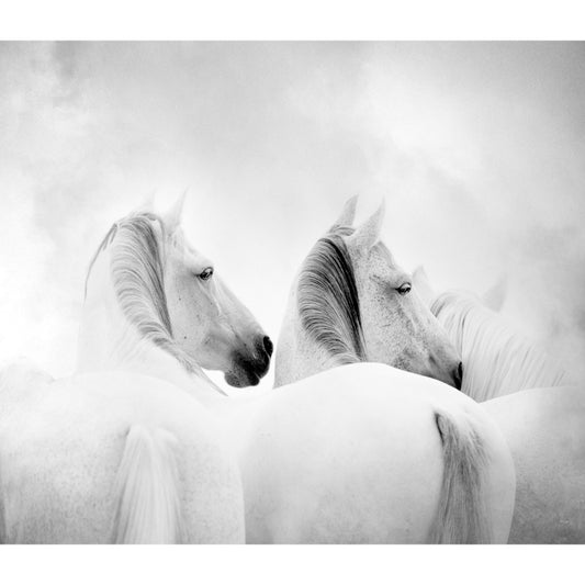 Big White Horse Print Mural Wallpaper Decorative Contemporary Living Room Wall Art Clearhalo 'Wall Decor' 'Wall Mural' 1646633