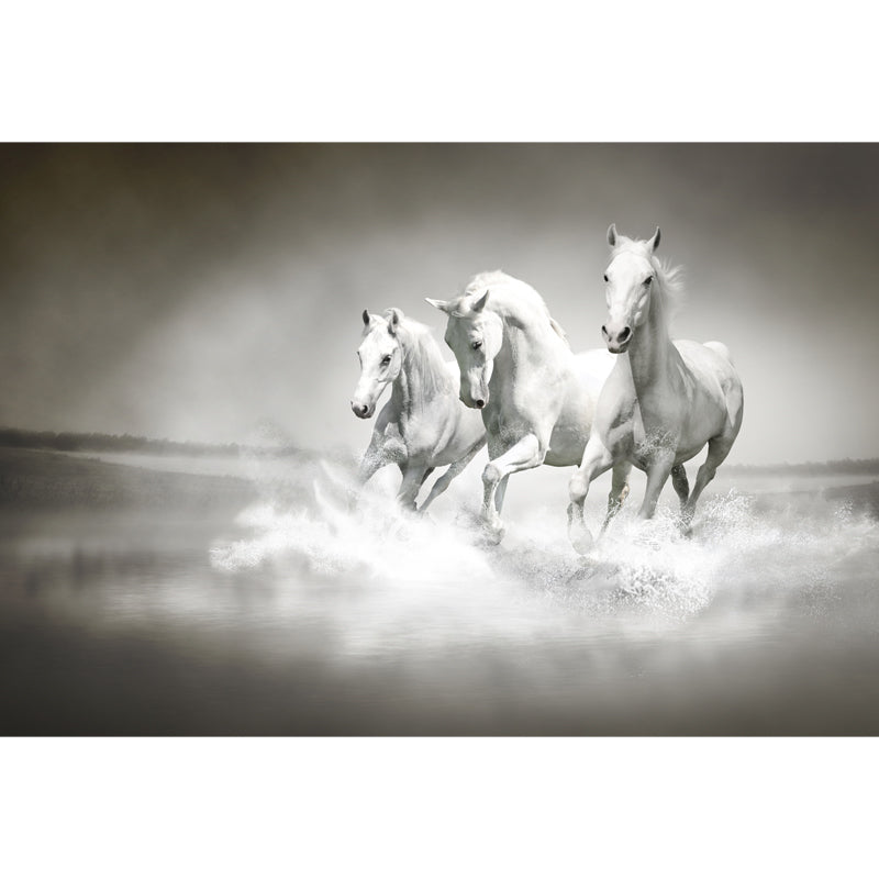 Big White Horse Print Mural Wallpaper Decorative Contemporary Living Room Wall Art Clearhalo 'Wall Decor' 'Wall Mural' 1646643