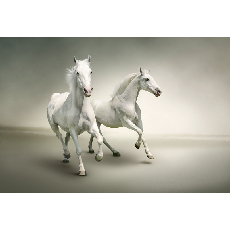 Big White Horse Print Mural Wallpaper Decorative Contemporary Living Room Wall Art Clearhalo 'Wall Decor' 'Wall Mural' 1646648