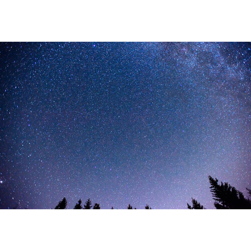 Full Size Photography Modern Mural Decal with Night Sky Pattern Constellations in Purple Clearhalo 'Wall Decor' 'Wall Mural' 1646773