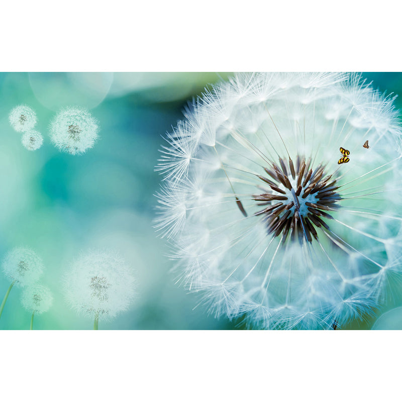 Dandelion Mural Decal Soft Color Decorative Wall Art for Dining Room, Made to Measure Clearhalo 'Wall Decor' 'Wall Mural' 1646828