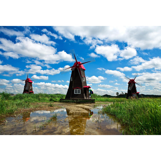Huge Windmill Mural for Bathroom Nature Landscape Wall Art in Blue, Stain Resistant Clearhalo 'Wall Decor' 'Wall Mural' 1646847