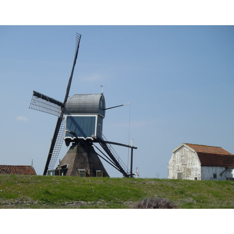 Romantic Windmill Scene Mural Decal for Girls Bedroom, Blue, Custom Size Available Clearhalo 'Wall Decor' 'Wall Mural' 1646877