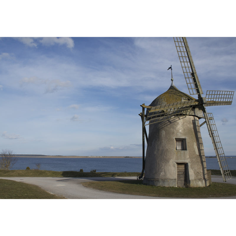 Romantic Windmill Scene Mural Decal for Girls Bedroom, Blue, Custom Size Available Clearhalo 'Wall Decor' 'Wall Mural' 1646882