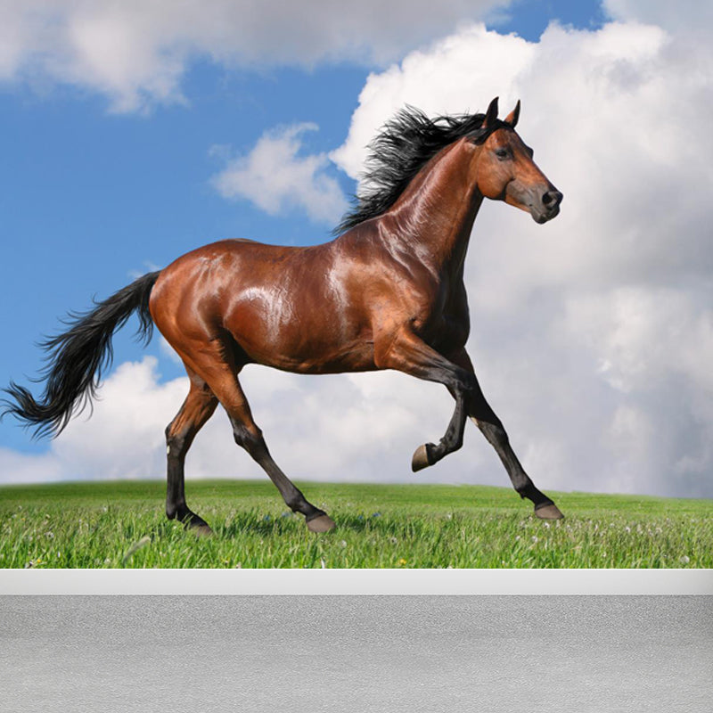 Giant Contemporary Wall Mural in Blue Steppe Horse Wall Covering, Made to Measure Clearhalo 'Wall Decor' 'Wall Mural' 1646945