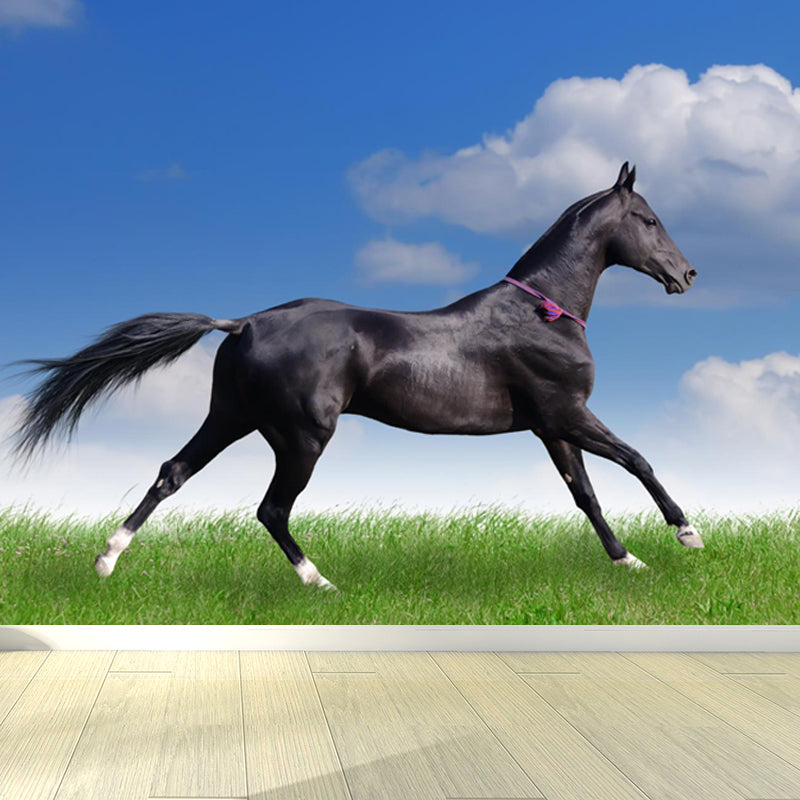 Giant Contemporary Wall Mural in Blue Steppe Horse Wall Covering, Made to Measure Clearhalo 'Wall Decor' 'Wall Mural' 1646950