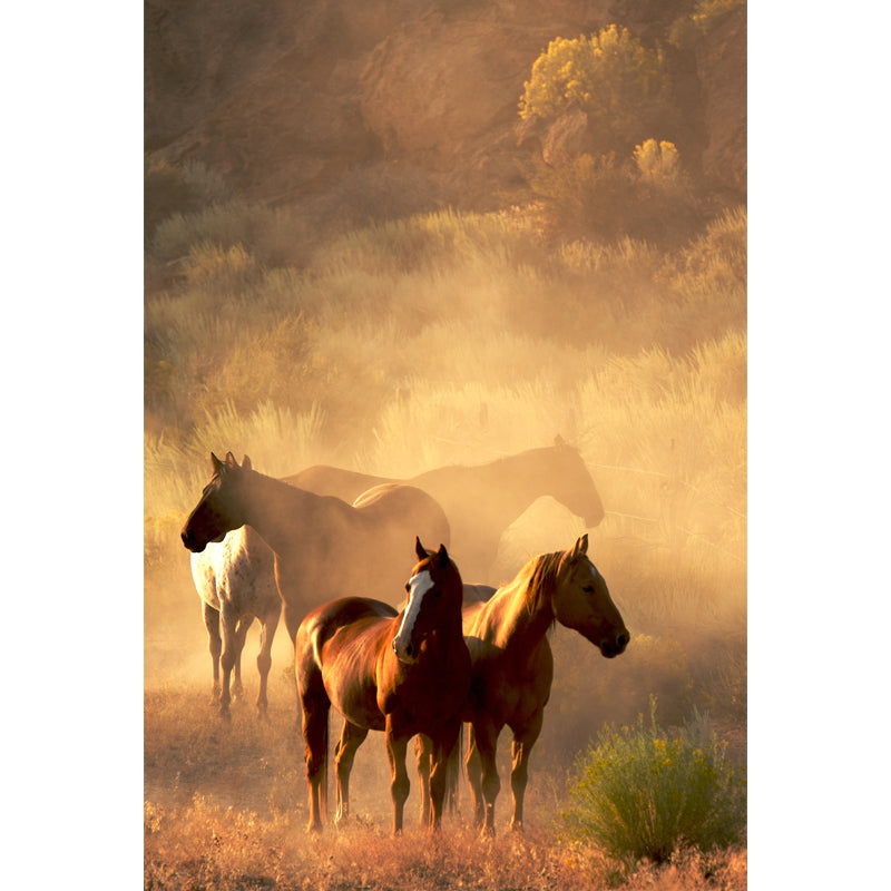 Huge Horse Mural Decal for Kitchen Animals Wall Art in Light Color, Stain Resistant Clearhalo 'Wall Decor' 'Wall Mural' 1646967