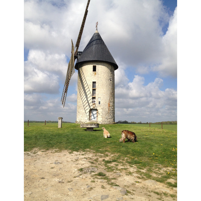 Huge Autumn Windmill Mural for Bedroom Landscape Wall Art in Soft Color, Stain Resistant Clearhalo 'Wall Decor' 'Wall Mural' 1647307