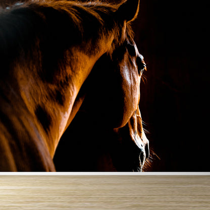 Full Size Photography Modern Mural Wallpaper with Running Steed Printed in Black Black Design 1 Clearhalo 'Wall Decor' 'Wall Mural' 1647394