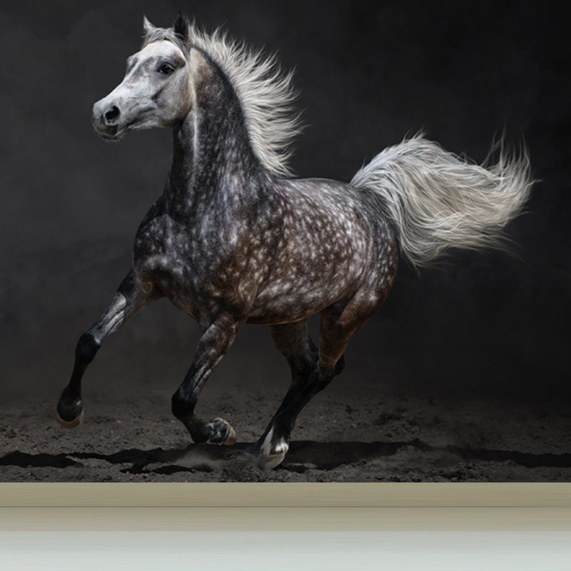Full Size Photography Modern Mural Wallpaper with Running Steed Printed in Black Clearhalo 'Wall Decor' 'Wall Mural' 1647405