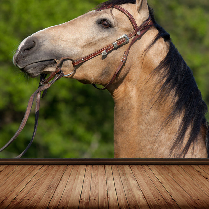 Large Tall Horse Mural Decal Contemporary Tameable Animals Wall Covering in Brown Clearhalo 'Wall Decor' 'Wall Mural' 1647435