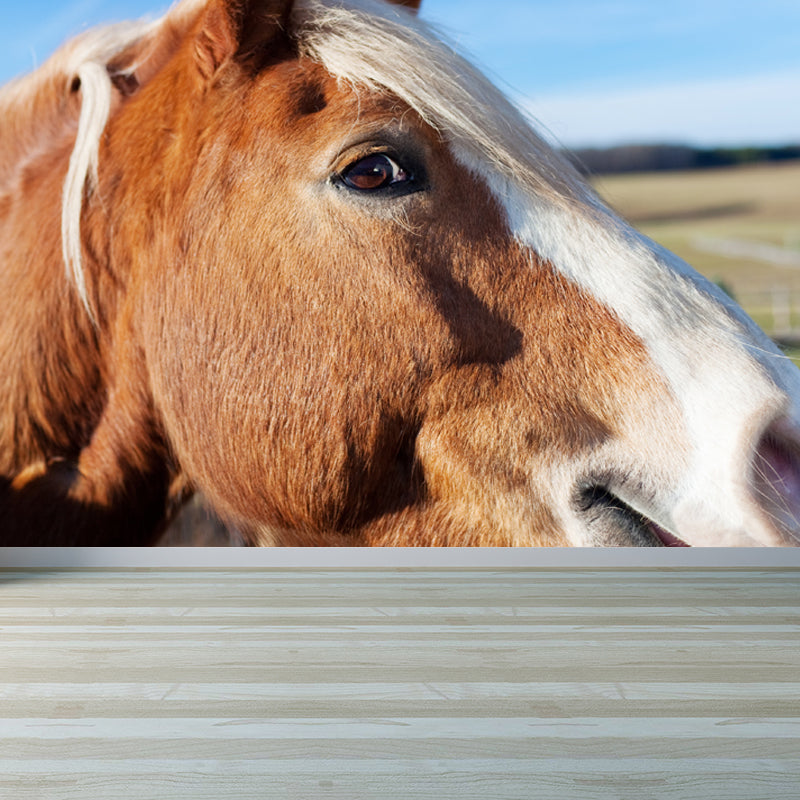 Large Tall Horse Mural Decal Contemporary Tameable Animals Wall Covering in Brown Clearhalo 'Wall Decor' 'Wall Mural' 1647440