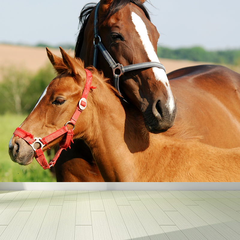 Large Tall Horse Mural Decal Contemporary Tameable Animals Wall Covering in Brown Brown Design 3 Clearhalo 'Wall Decor' 'Wall Mural' 1647444